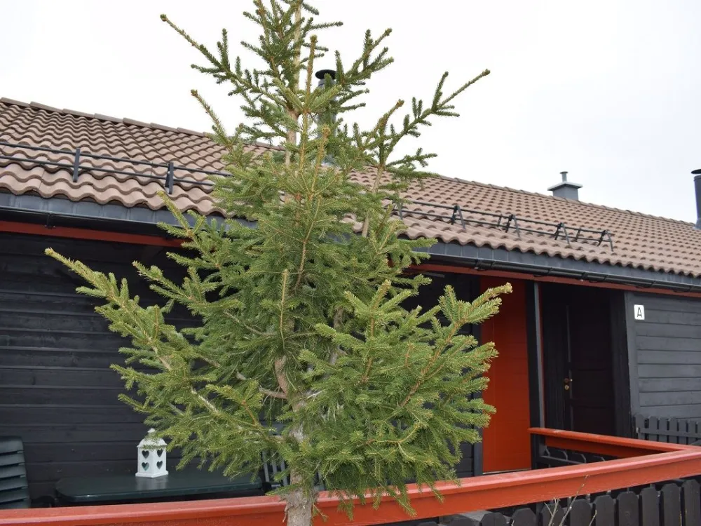 Fjellandsbyen 116A