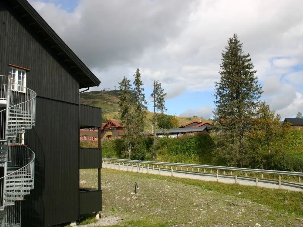 Veslesetervegen 973 -3006, Skei Leilighetssenter