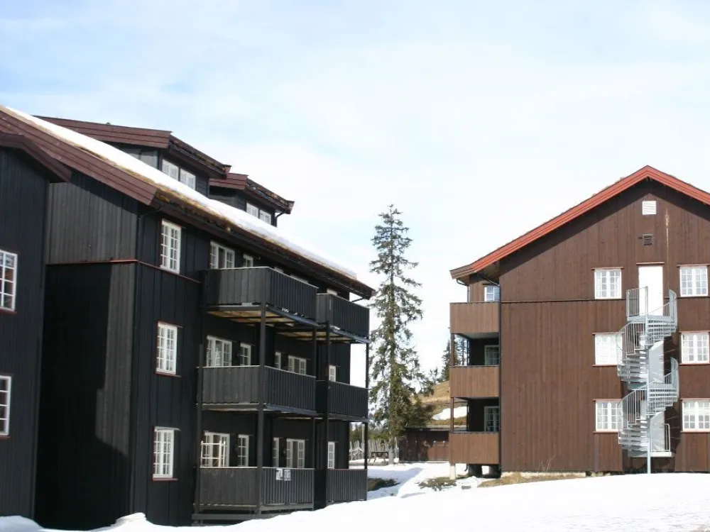 Veslesetervegen 973 -3006, Skei Leilighetssenter