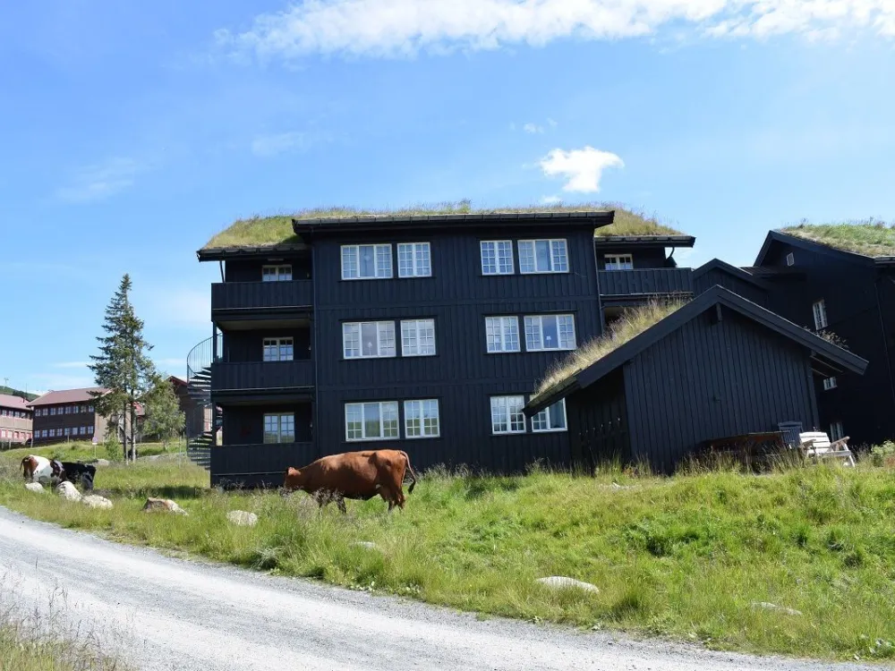 Veslesetervegen 977 -1005, Skei Leilighetssenter