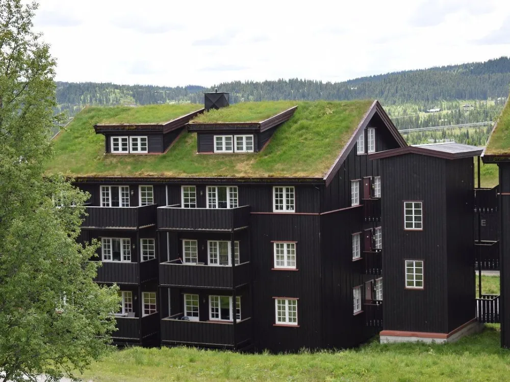 Veslesetervegen 971 -4008, Skei Leilighetssenter