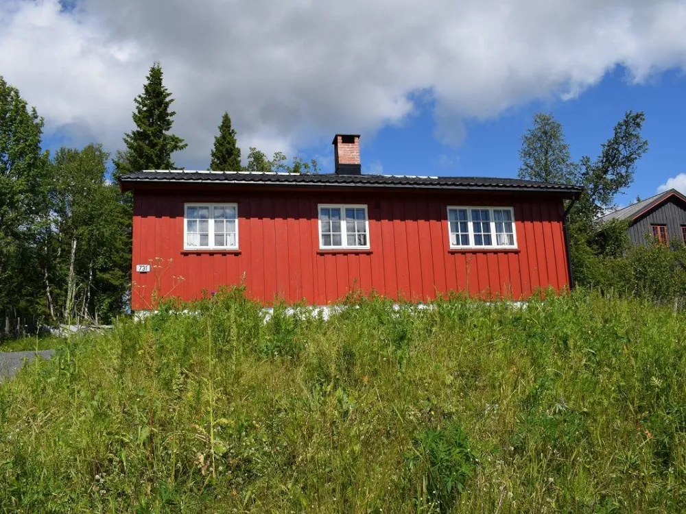 Skeisvegen 731