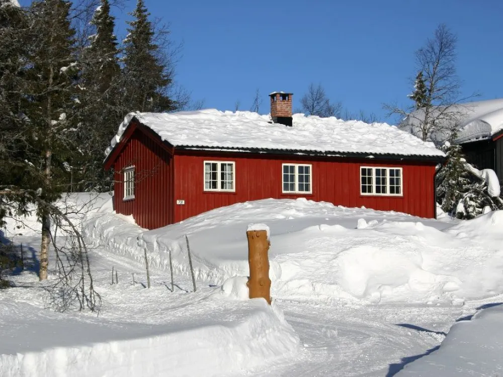 Skeisvegen 731