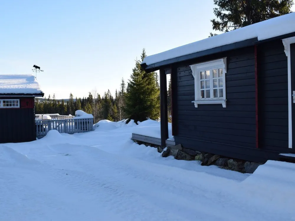 Liaråket 14