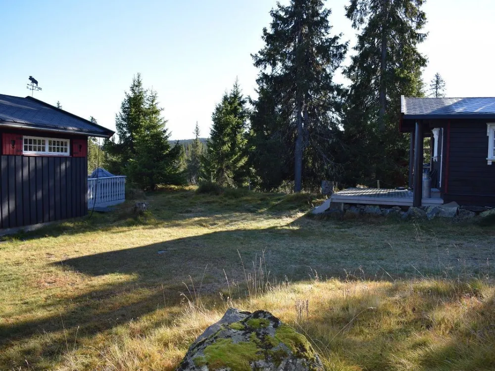 Liaråket 14