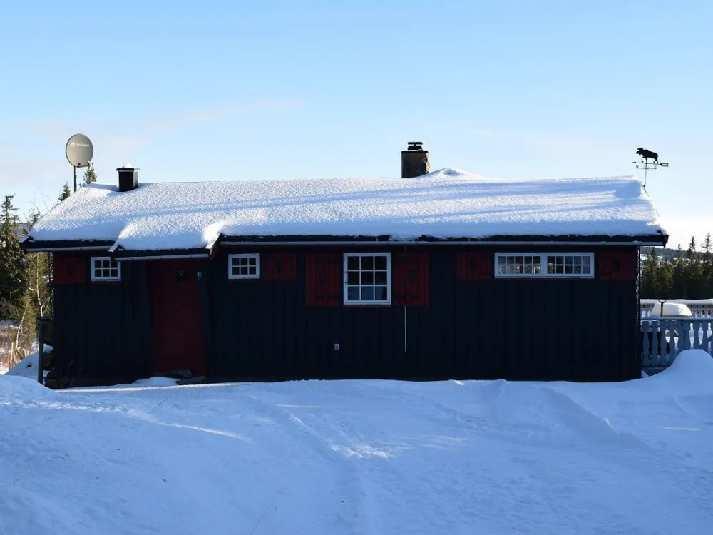Liaråket 14