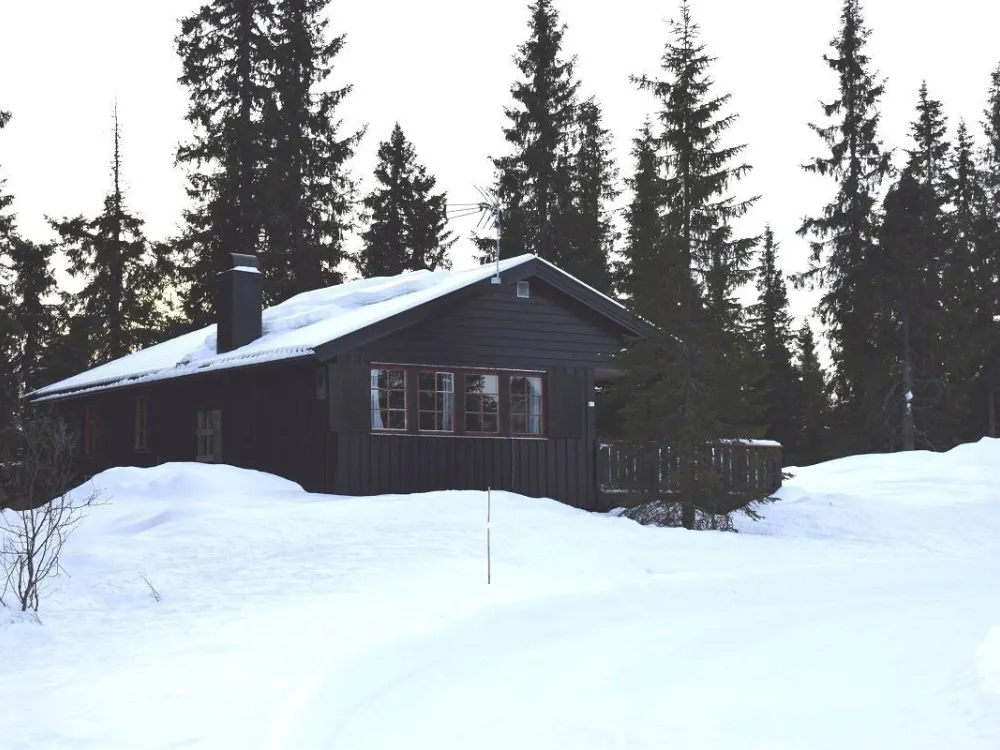 Brannåsvegen 12