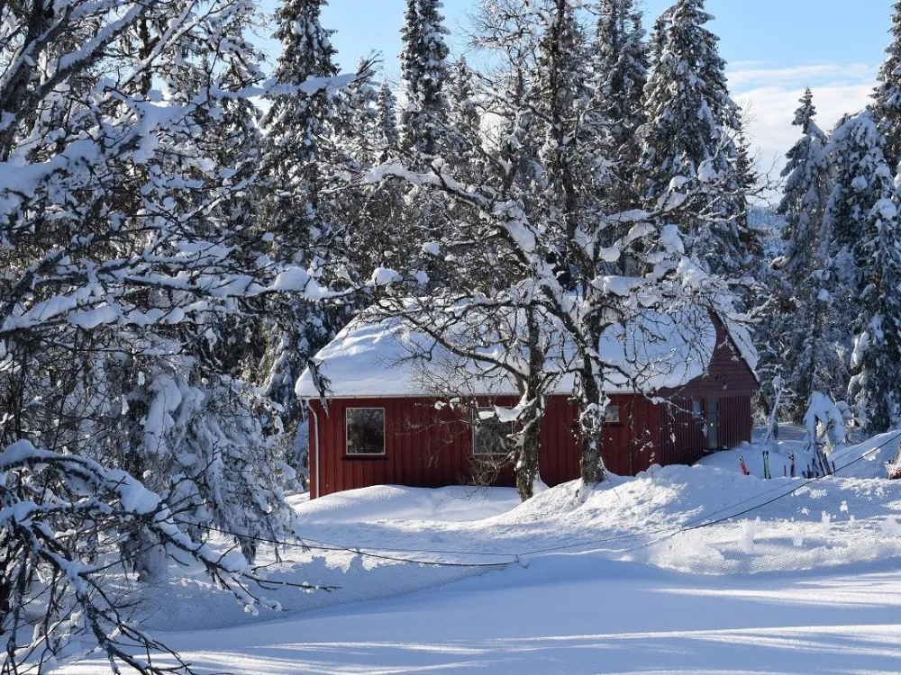 Skeisvegen 759