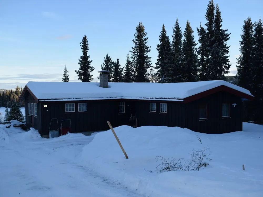 Liaråket 12