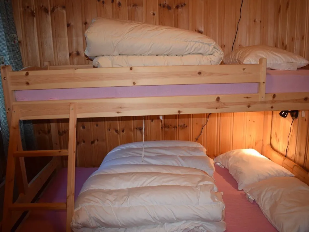 Liaråket 12