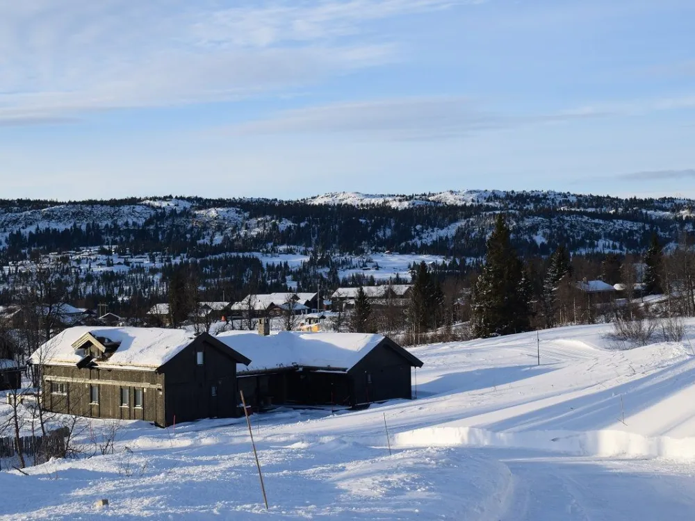 Torsdalsvegen 41
