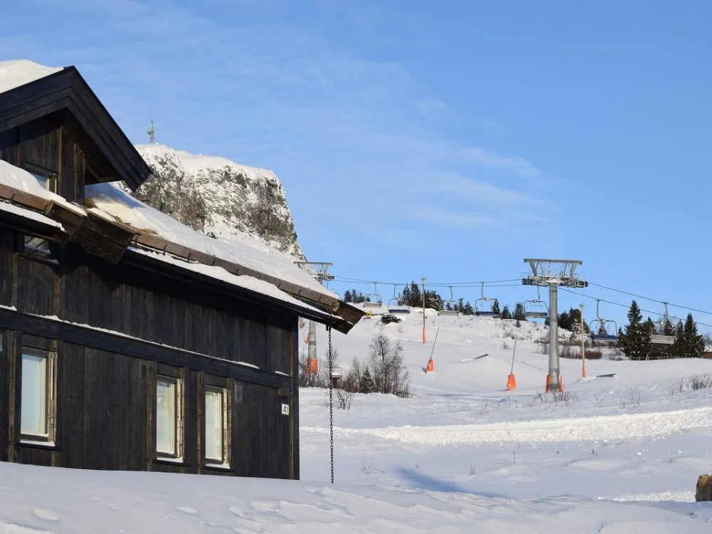 Torsdalsvegen 41