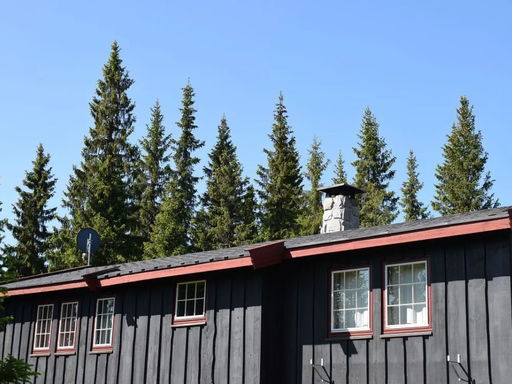 Liaråket 12