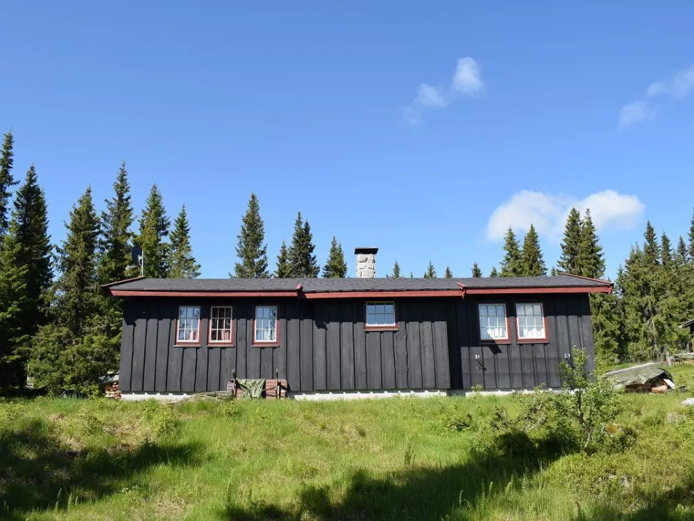 Liaråket 12