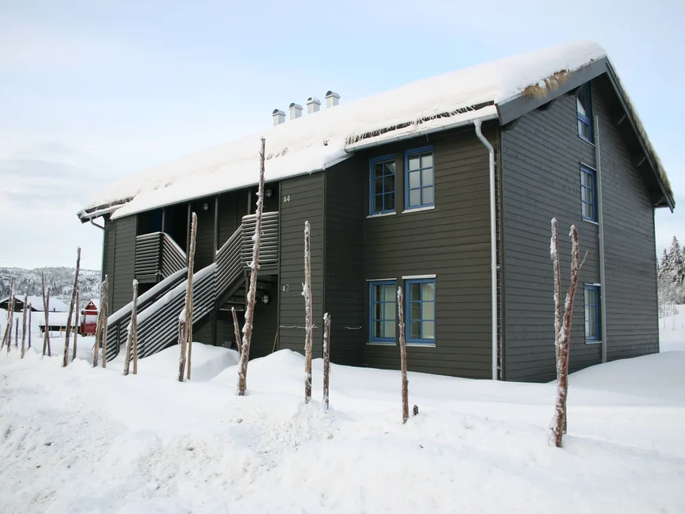 Fjellandsbyen 1C