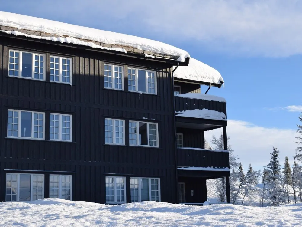 Veslesetervegen 975 -2007, Skei Leilighetssenter