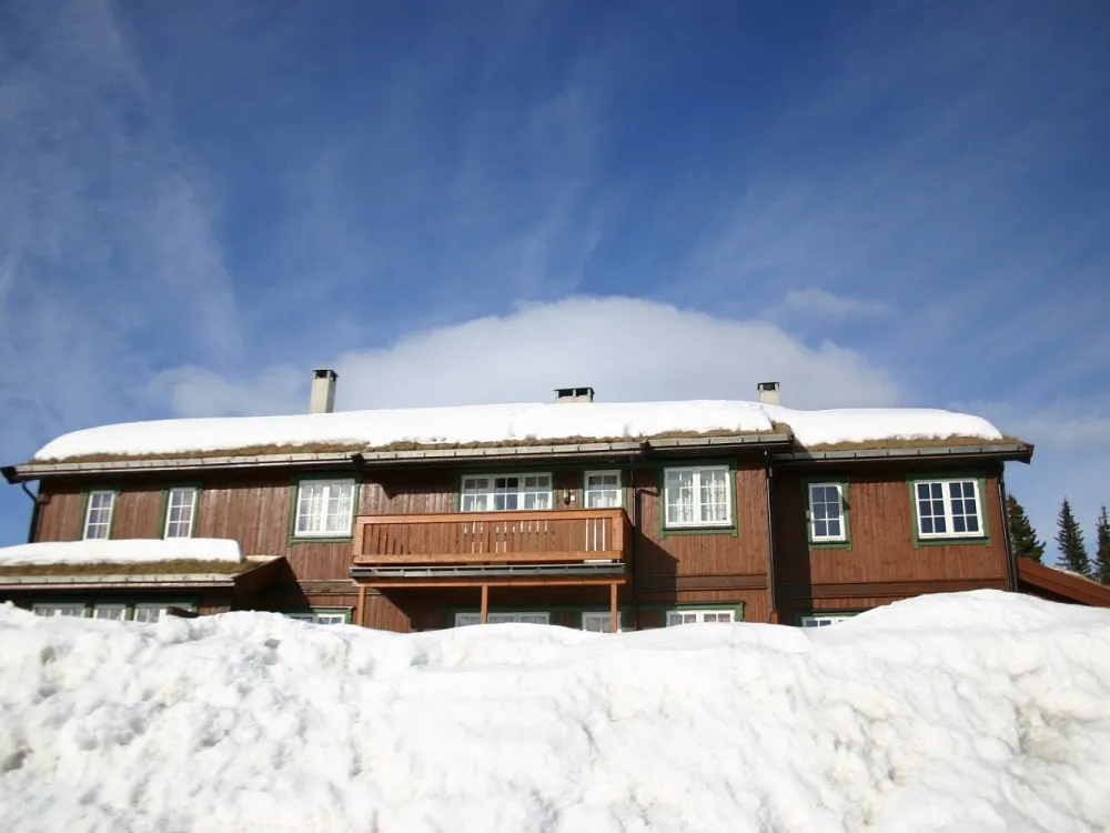 Veslesetervegen 954F -Skeibo