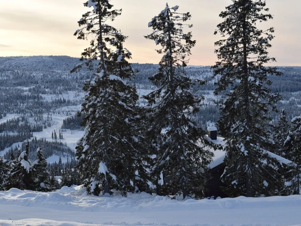 Mjølkevegen 59