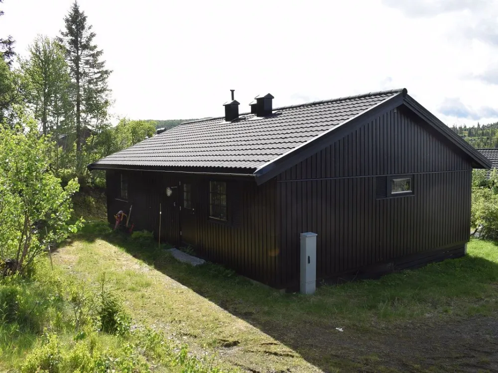 Fjellstuevegen 19-Austlid