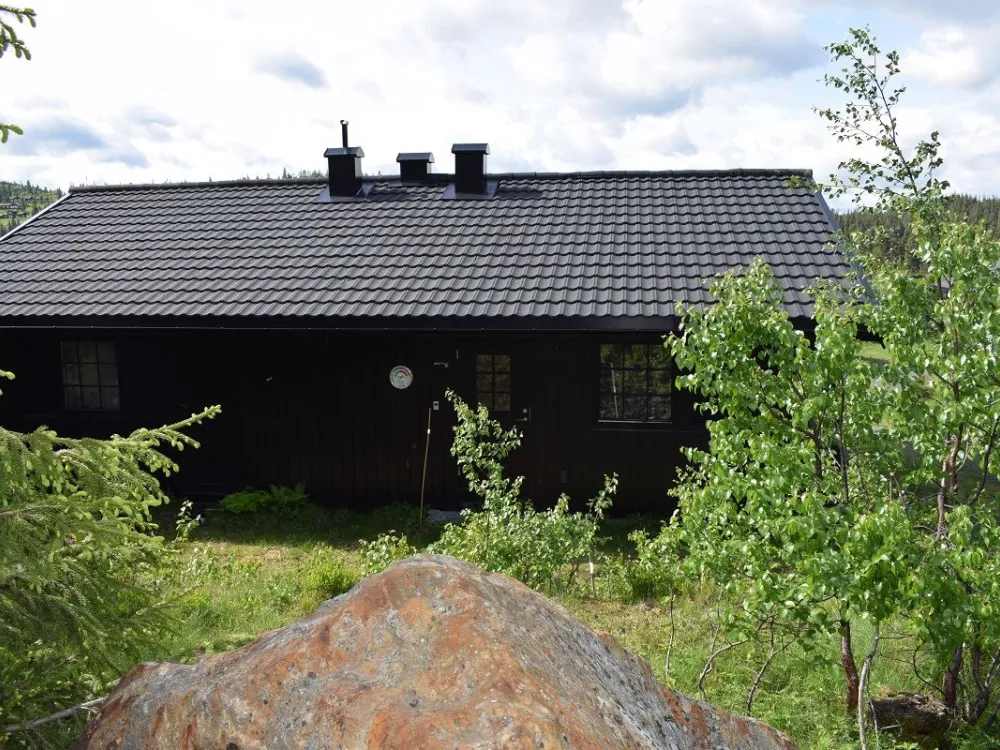 Fjellstuevegen 19-Austlid