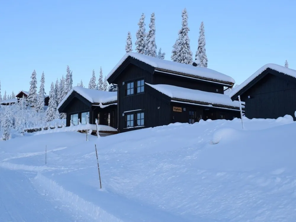 Sørskei-tjernet 37