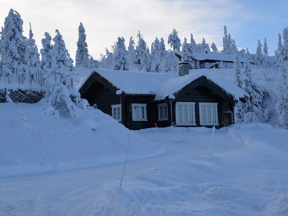 Glåmhaugen 55