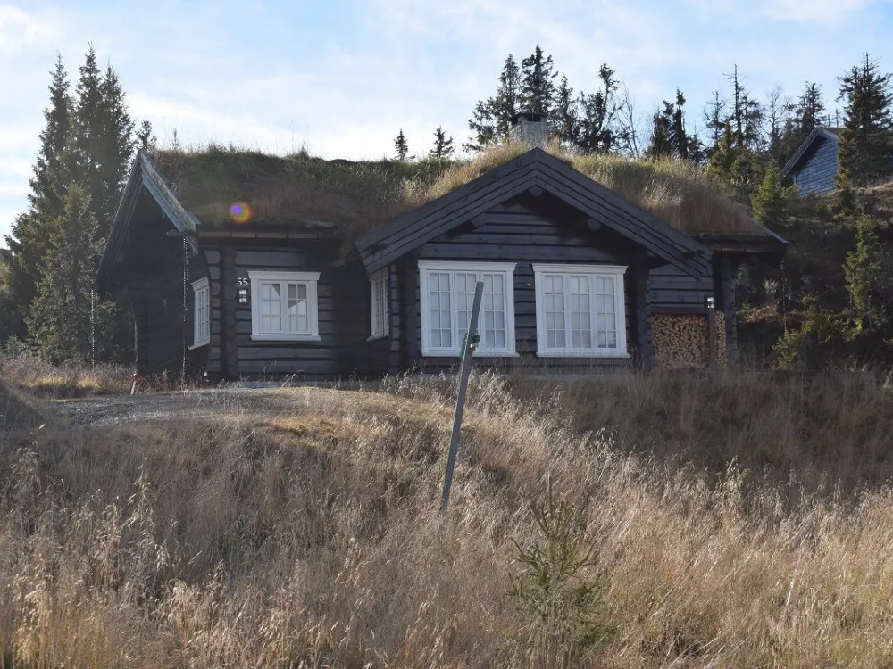 Glåmhaugen 55