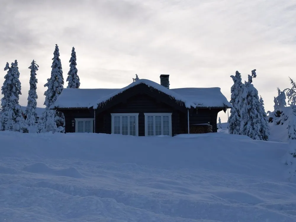 Glåmhaugen 55