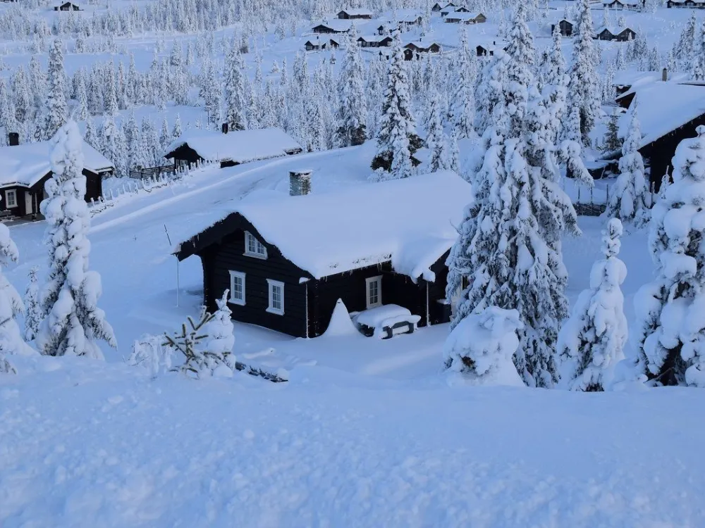 Glåmhaugen 55
