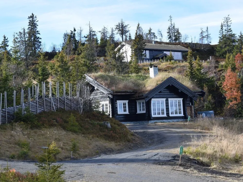 Glåmhaugen 55
