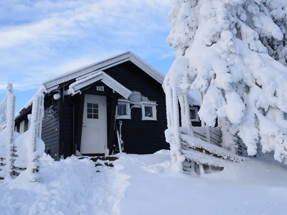 Lisetervegen 476