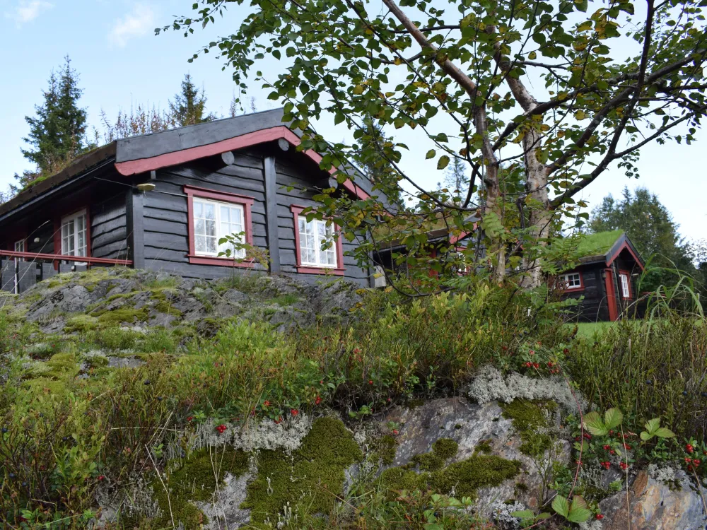 Elkjærvegen 50