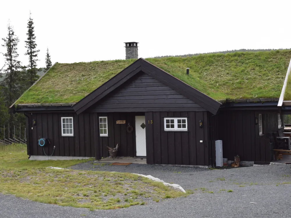 Sørskei-tjernet 13