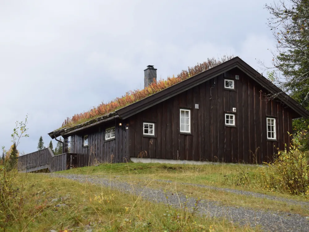 Mjølkevegen 18