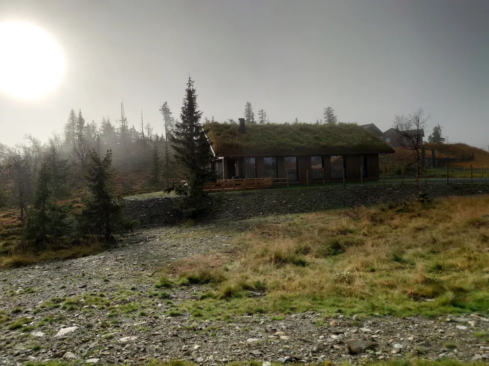 Glåmhaugen 66