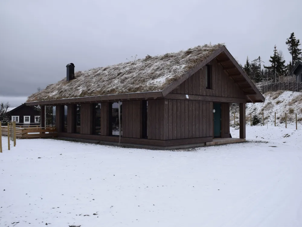 Glåmhaugen 66