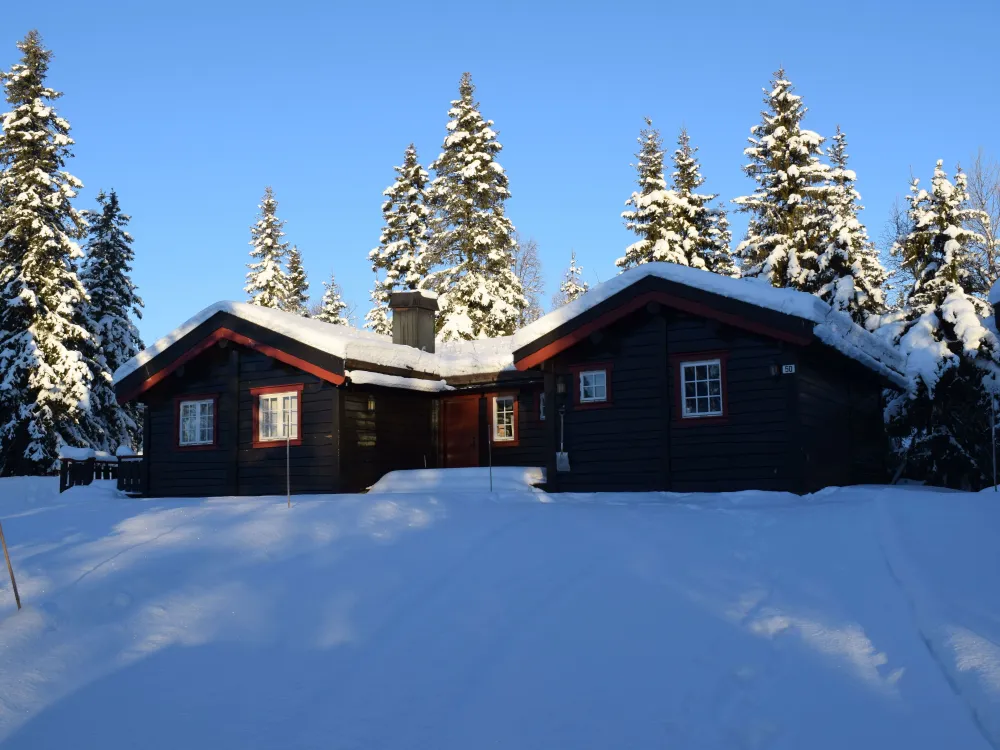 Elkjærvegen 50