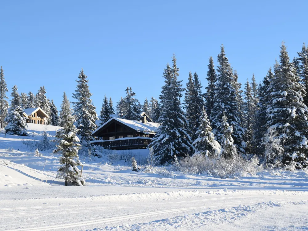 Mjølkevegen 18