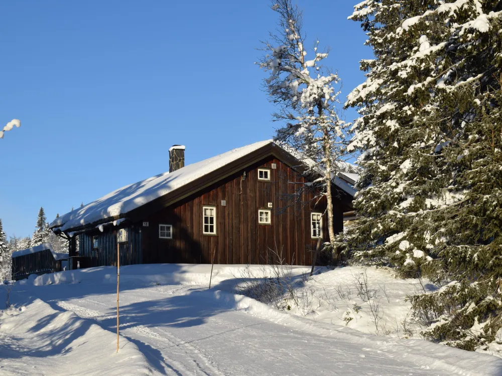 Mjølkevegen 18