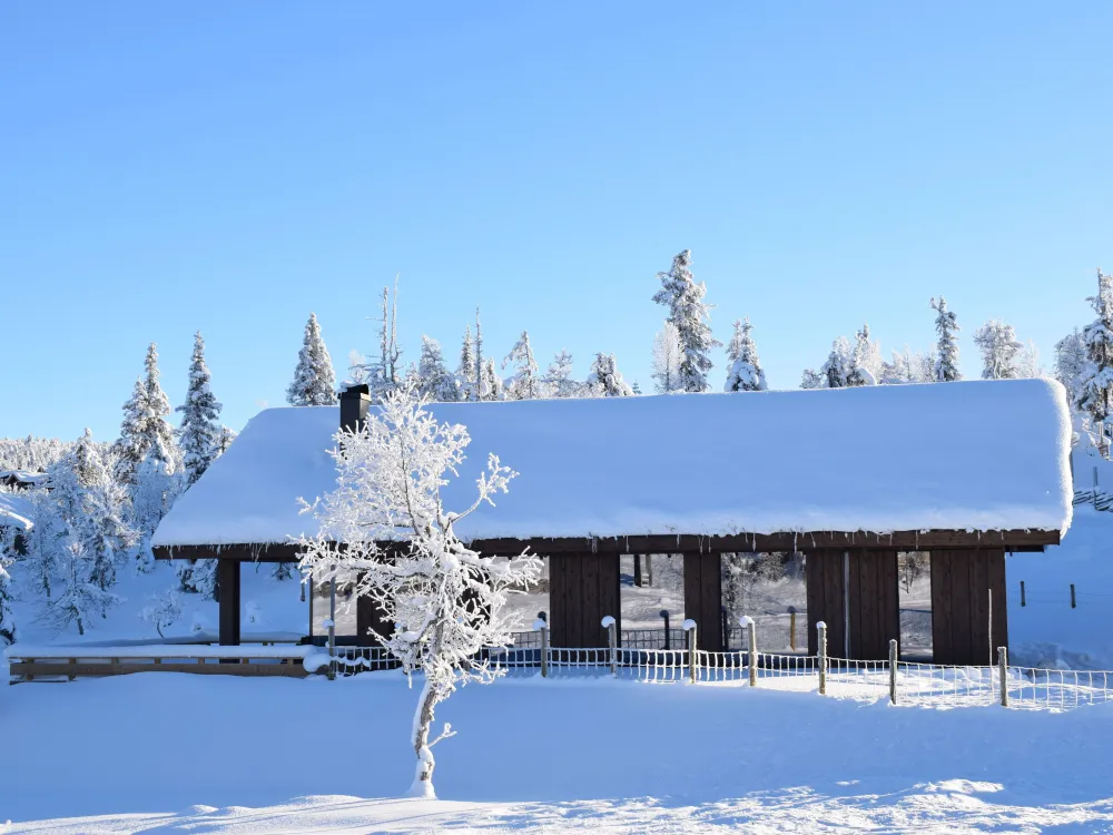 Glåmhaugen 66