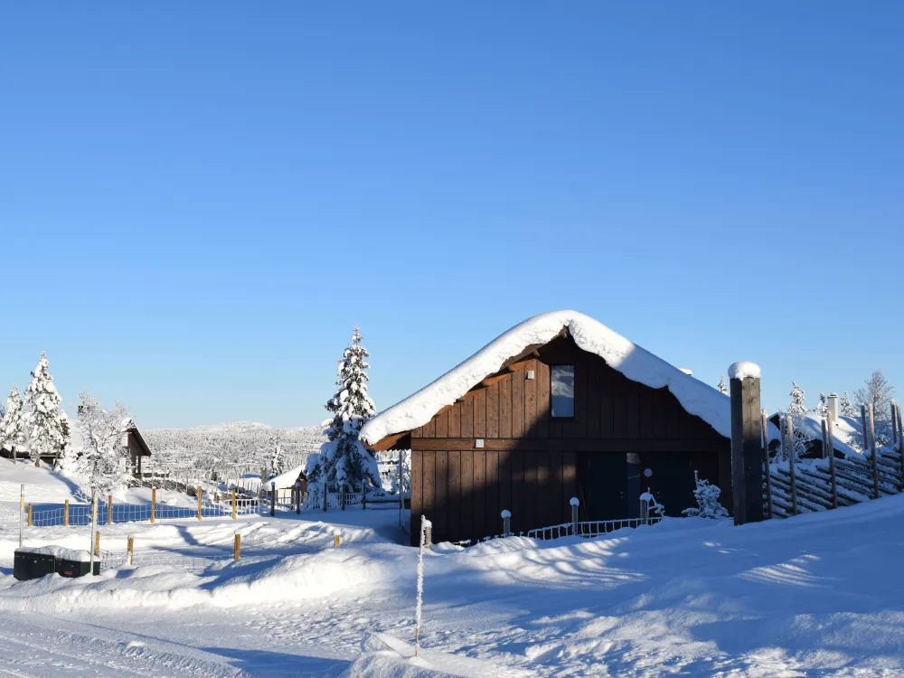 Glåmhaugen 66