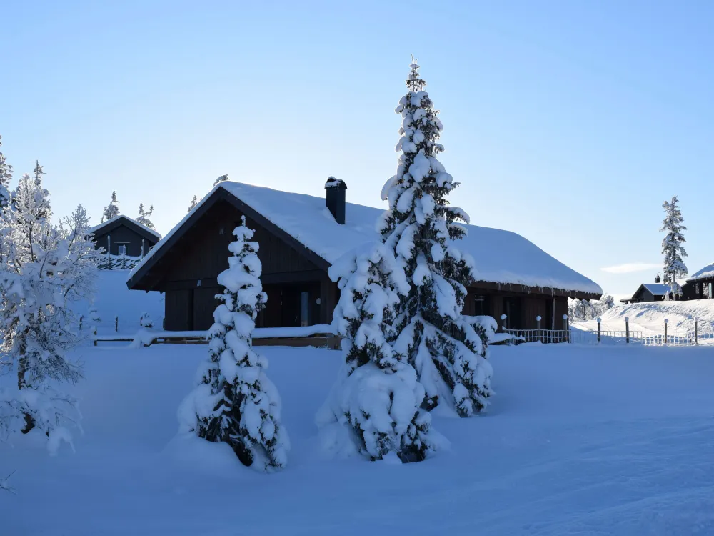Glåmhaugen 66