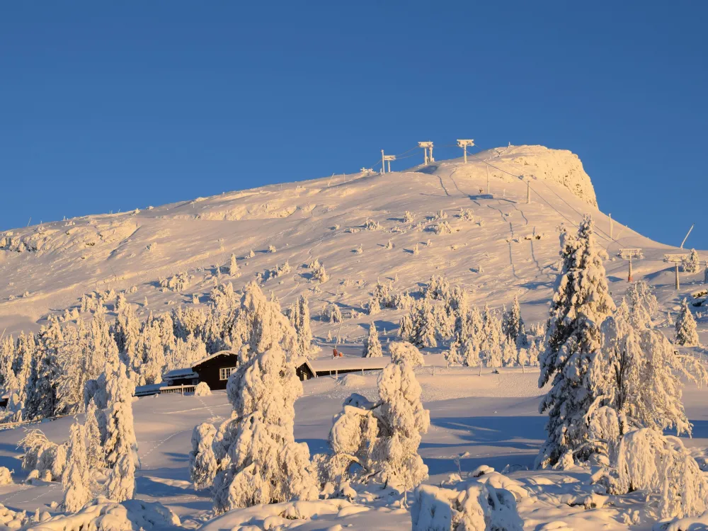 Hågåslettvegen 19