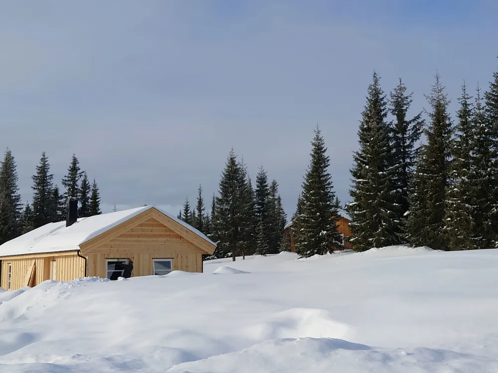 Hågåslettvegen 19