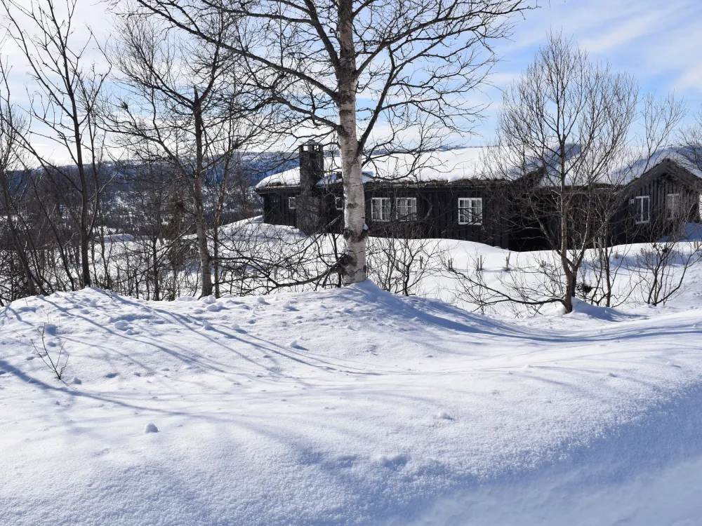 Toftsetervegen 58