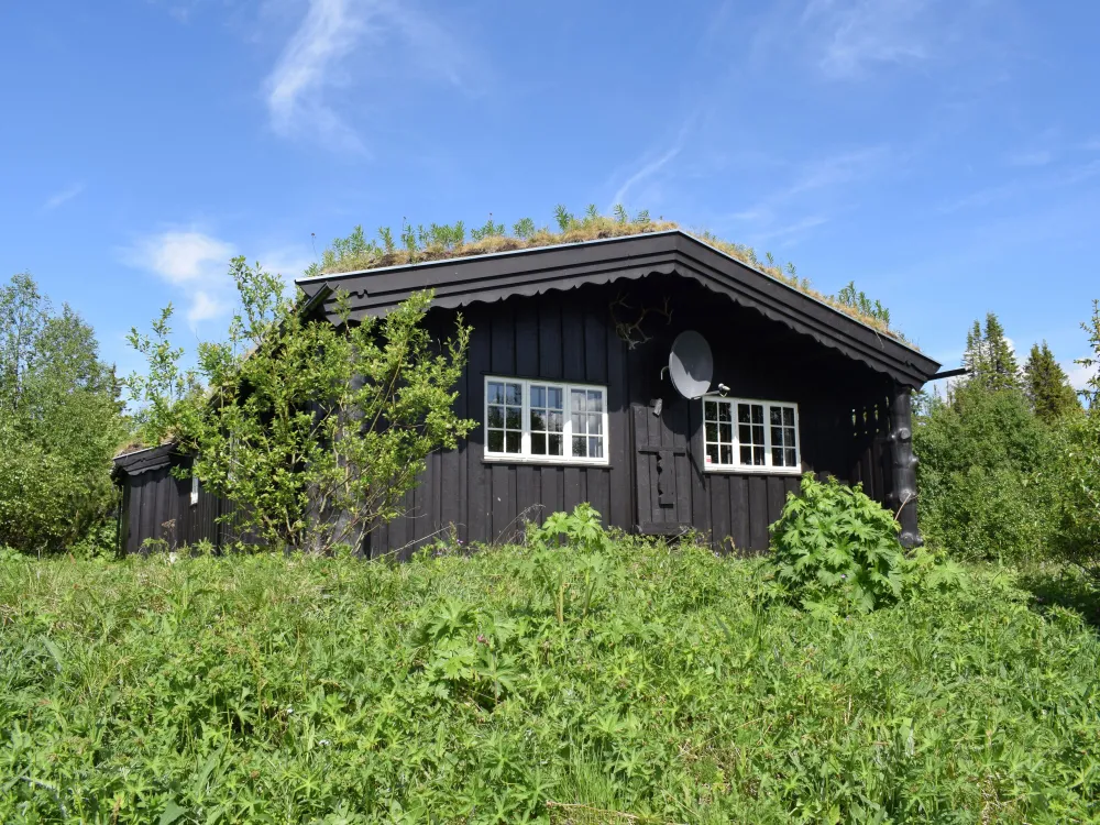 Toftsetervegen 58